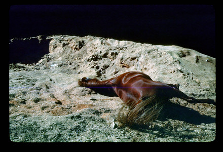 Slide924.jpg